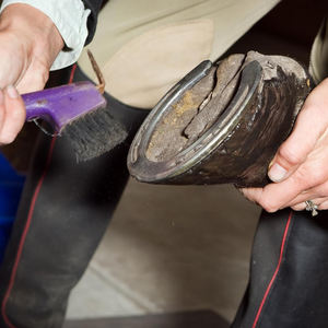 Pic à sabot Instruments vétérinaires orthopédiques Pic à sabot Équipement vétérinaire Pic à sabot avec poignée en métal Instruments vétérinaires - Product Image 5