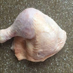 Pollo congelado orgánico Halal de grado de exportación internacional BQF plantas higiénicas procesadas que mantienen el vacío de sabor natural - Product Image 1