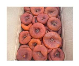 Kaki séché au vent du Vietnam de haute qualité-Kaki séché au vent de spécialité Da Lat fabriqué à la main pour le marché mondial haut de gamme - Product Image 5