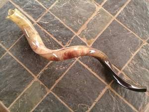 Shofar authentique en corne de buffle naturelle, artisanat métallique fait à la main pour les rassemblements spirituels, utilisation au temple, décoration de cuisine - Écologique - Product Image 3