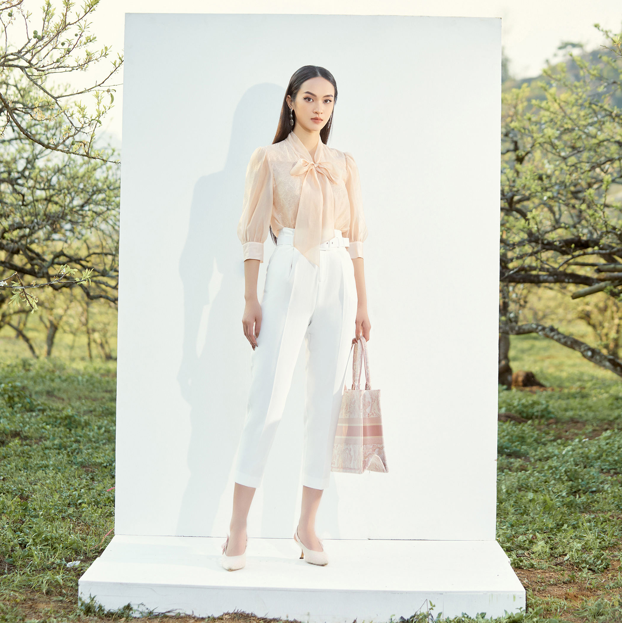 ด๊อกวู้ดซีด