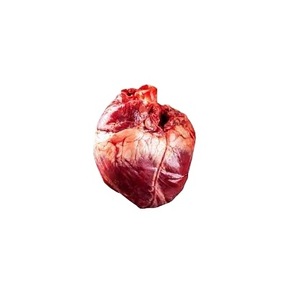 Cœur de bœuf congelé de qualité supérieure - Fournisseur en gros de cœurs de bœuf - Product Image 3