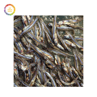 Anchoas secas de Vietnam-Estándar de exportación Premium, sabor sabroso y precio barato para importadores