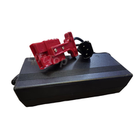 Chargeur au lithium compact original DZL480602 V01 48V6A pour chariot élévateur