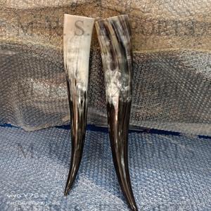 Cuerno para Beber Vikingo de Buey, Auténtico Cuerno para Beber Medieval de Vaca y Búfalo, Estilo Vikingo a Precios Asequibles - Product Image 1