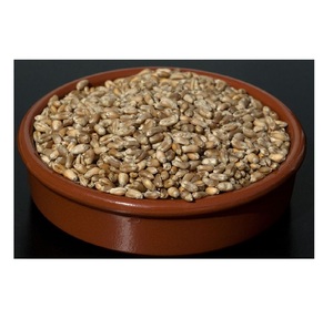 Triticale Premium disponible para la venta a granel, perfecto para alimentación animal y producción de alimentos, pida hoy - Product Image 2