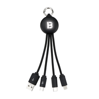 Câble de données tressé en nylon trois-en-un avec logo personnalisé et éclairage LED, chargeur Type-C, porte-clés multifonctionnel, cadeau pour utilisation informatique