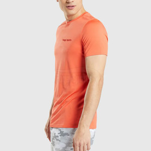 Vêtements de gym à séchage rapide T-shirts de gym pour hommes Vêtements de sport à quantité minimale de commande bas T-shirts de gym pour hommes au prix de gros - Product Image 3