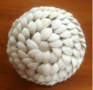 Bola de Concha Marina Natural Pulida Blanca, Estilo Náutico, Decoración del Hogar, Manualidades Cosidas, Motivo de Joyería, Bola de Concha - Product Image 3