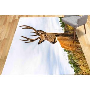 Printed <b>Rug</b>: Farmhouse <b>Rugs</b>, Personalized Gifts <b>Rug</b>, Housewarming Gift <b>Rugs</b>,<b>Chenille</b> <b>Rug</b> - Product Image 3