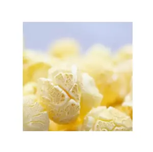 Paddenstoel Vlinder Popcorn Productielijn Karamel Ketel Pot Popcorn Maken Popping Coating Machine Prijs Te Koop