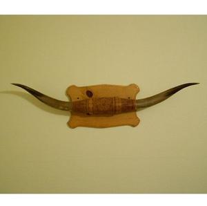 Placa de Pared de Cuerno de Buey Natural, Estilo Animal Ecológico, Hecha a Mano, Tamaño Personalizado, Arte de Pared Vintage - Product Image 4