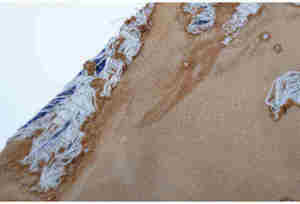 เสื้อมีฮู้ดแนววินเทจสำหรับฤดูใบไม้ร่วงฤดูหนาวสไตล์ที่เป็นเอกลักษณ์เสื้อสเวตเชิ้ตลายพังค์ถูกทำลาย - Product Image 5