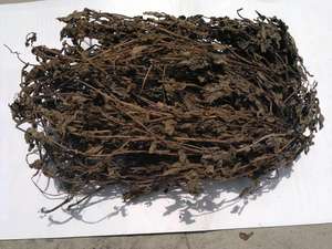 Feuilles de gelée d'herbe séchée de haute qualité du Vietnam pour la nourriture et les boissons-Contactez Mme Elite - Product Image 4