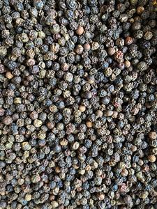 500FAQ 500 Clean 550 + Poivre noir Exportateur d'épices d'herbes séchées de la plus haute qualité 2024 disponible + 84796855283 - Product Image 4