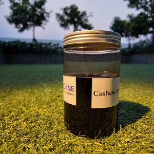 ราคาแข่งขัน สารดีกัมม์ดีเอ็นเอสแอล (CNSL) นำเข้าโดยตรงจากโรงงาน สำหรับการผลิตเรซินอุตสาหกรรม กาว และสารเคมี - Product Image 5