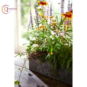 Superior Quality Large Size Galvanized Tin Material Hotels Food Serving Tray and Plated Trendy New Arrival <b>Table</b> Ware Home Tray - Product Image 5