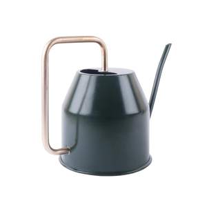 Designer Handmade Iron <b>Metal</b> <b>Watering</b> <b>Can</b> Manufacturer Custom Design Green Plant <b>Watering</b> <b>Can</b> Supplier - Product Image 1