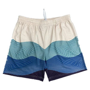 2025 fabricante OEM para ropa malla hombres pantalones cortos verano talla grande hombres pantalones cortos logotipo personalizado sublimación gimnasio entrenamiento malla pantalones cortos - Product Image 5