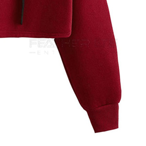 Logo personnalisé Crop Top Hoodies pour femmes Nouveau design décontracté doux en coton tricoté hiver recadrée à capuche imprimé - Product Image 3