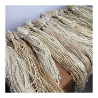 Fibre de feuille d'ananas de qualité d'exportation du Vietnam pour la filature, le tissage de produits capillaires et de tissus biodégradables