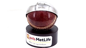 Juego de escritorio de pelota de cricket de metal Premium de proveedor indio para amantes del cricket o espacios de oficina y regalos disponibles para la venta - Product Image 3