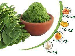 ผงมะรุมจำนวนมาก-USDA อินทรีย์ได้รับการรับรอง HACCP ราคาโรงงาน - Product Image 4