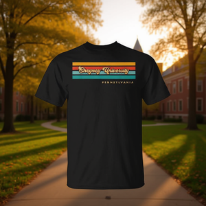 T-shirt della Cheyney University Pennsylvania con design vintage a strisce color tramonto - Product Image 3