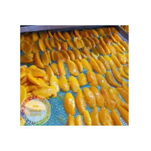 MANGUE SÉCHÉE EN VRAC NATUREL 100% FRUIT SNACK TOP NOUVEAU AVEC DÉLICIEUX SUPER ET QUALITÉ FABRIQUÉ AU VIETNAM - Product Image 4