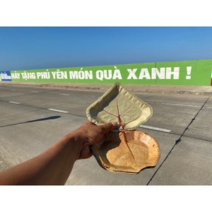 Precio bajo plato desechable de hoja de uva de mar plato de picnic Areca hoja de palma uva de mar Vietnam Loto Azul + 84855014447 - Product Image 4