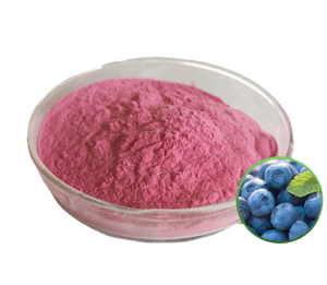 Commercio all'ingrosso biologico liofilizzato mirtillo selvatico in polvere succo di frutta in polvere | Fornitura all'ingrosso prezzo di fabbrica per alimenti e bevande - Product Image 2