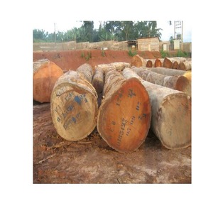 ENVÍO RÁPIDO a Todo el Mundo: Leña de Madera Dura Mixta Seca al Horno de Grado Exportación, 100% Natural, Embalaje Personalizado para Pedidos al por Mayor - Product Image 3