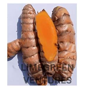 Lakadong Cúrcuma Orgánica Lakadong Cúrcuma Alta Curcumina Lakadong Cúrcuma - Product Image 2