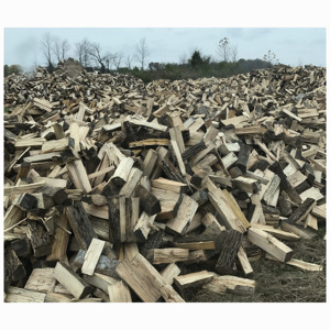 Gỗ Tếch/Gỗ Sồi bản ghi cho xuất khẩu toàn bộ giá bán thông vân sam Bạch Dương gỗ sồi bản ghi tro/Gỗ và Bạch Đàn Gỗ bản ghi - Product Image 6