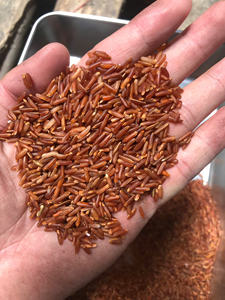 High quality Vietnam red rice whole <b>grain</b> rich in antioxidants and suitable for low calorie meals - Product Image 5