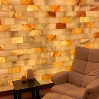 Meilleures ventes 2023 OEM ODM Briques solides de sel rose de l'Himalaya sculptées à la main, frittées, résistantes aux acides, design moderne, carreaux de décoration intérieure