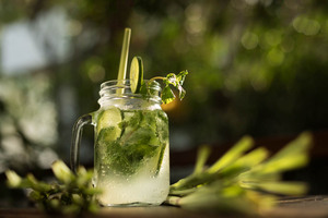 El más vendido Eco2go, pajitas de hierba natural orgánica biodegradable del fabricante de Vietnam, accesorios de barra de alta calidad de Vietnam - Product Image 4