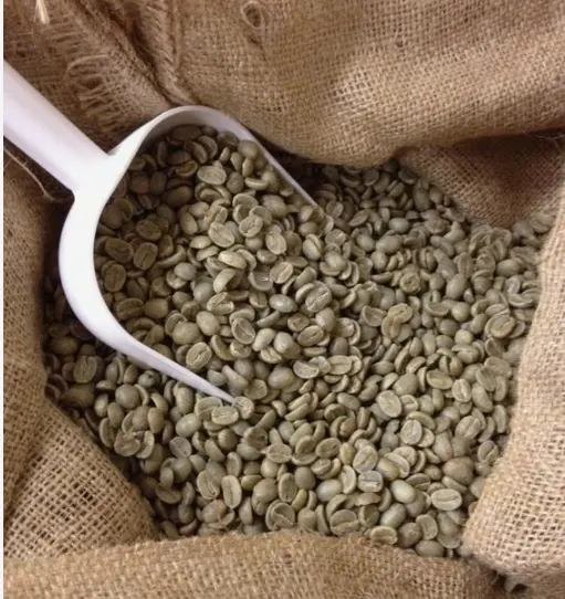 HANCOFFEE Fabricante-Café do feijão verde inteiro-Grãos de café comuns Robusta/Arabica-Melhor venda a bom preço