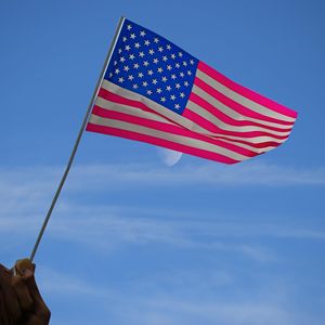 10-Pack American <b>Flags</b> on Stick (Digital Printing Pennant Cotton Nylon Polyester Vinyl Cloth Silk) - Product Image 2