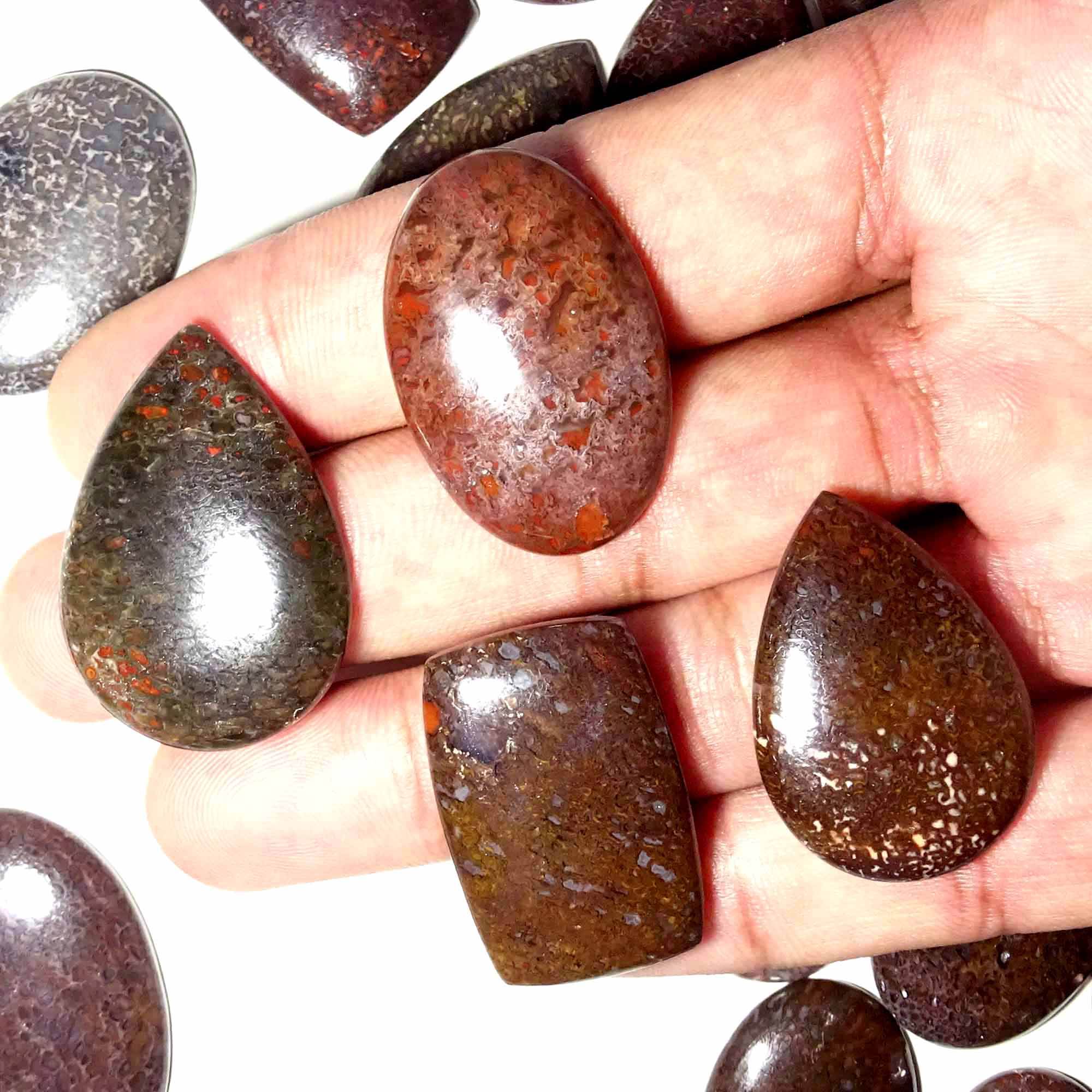 ตามที่เห็นในภาพ