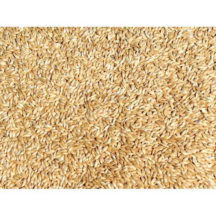 canary seed mix