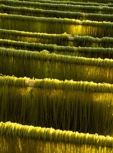 บะหมี่ผักกึ่งสำเร็จรูป/บรรจุตามคำขอ - Product Image 6