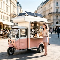 Chariot à shawarma de qualité industrielle avec gril vertical et riz hummus pour les bazars du Moyen-Orient