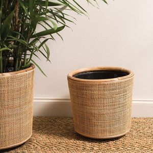 Jardineras de ratán para decoración de jardín con soporte de hierro jardinera de ratán natural con soporte negro de pie de suelo grande a bajo precio - Product Image 4
