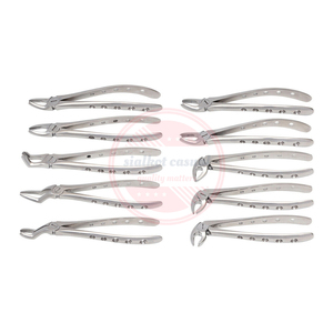 Kit de pinzas de extracción Dental de ortodoncia, Kit de instrumentos quirúrgicos dentales de acero inoxidable, 10 piezas, bolsa con logotipo personalizado - Product Image 1