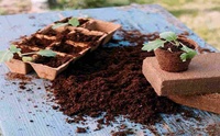 Cocopeat du Vietnam 5kg, bloc de tourbe de coco brun clair, support de culture organique pour hydroponie et serres, export en vrac Viet Seafarm