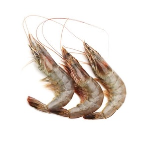 Camarones Vannamei Blancos HOSO Congelados de Calidad de Exportación, Suministro de Mariscos a Granel - Product Image 3