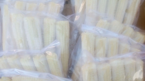 Maíz dulce congelado IQF entero y mitades exportado a granel maíz blanco y amarillo fresco de alta calidad para los mercados mundiales - Product Image 2