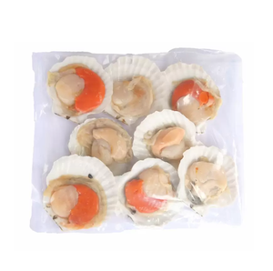 Viande de coquille Saint-Jacques surgelée |   Coquilles de palourde congelées en gros – Achetez en ligne – Offre spéciale fabricant – Stock en vrac – Fournisseur - Product Image 1