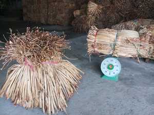 VIET NAM DRIED WATER HYACINTH ROPE RAW MATERIAL for <b>BASKETS</b> BEST QUALITY and Wholesaler Price for Buyer 99GD - Product Image 2